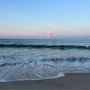 Meet your Posher, Jillian